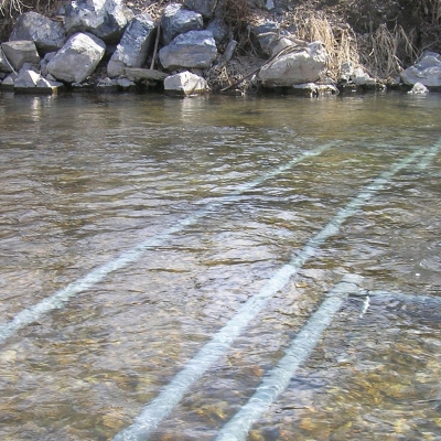 June-sucker-tributary-monitoring2