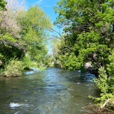 Provo-River-bend